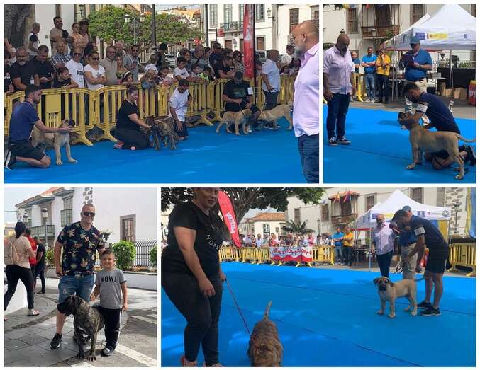 Imagen del evento celebrado en la plaza de San Juan/TA.